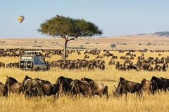 maasai-mara-balloon