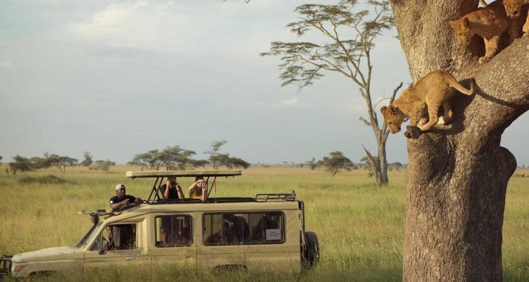 southern circuit safari wildlife tours Tanzania